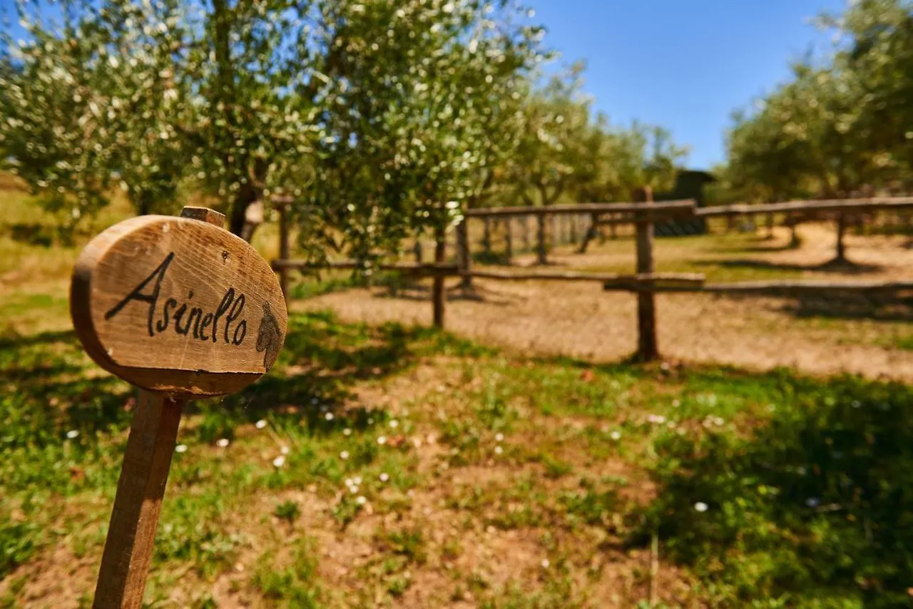 Farm stay Casale Di Valle Villa Vinci