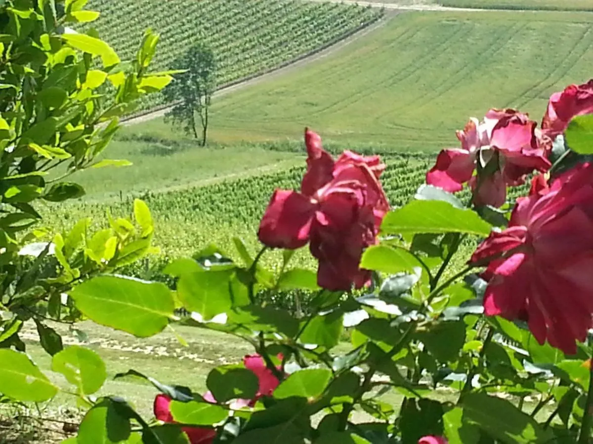Casale Di Valle Villa Vinci