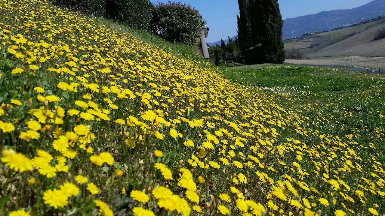Casale Di Valle Villa Vinci 0*,  Italy