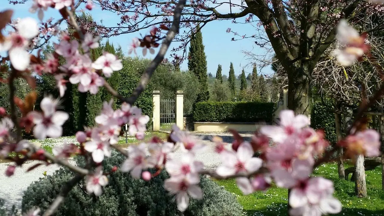 Casale Di Valle Villa Vinci Farm stay
