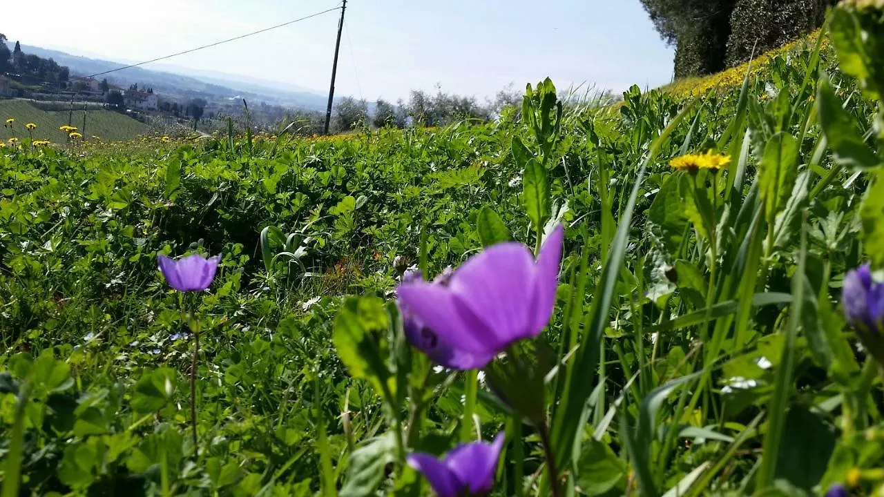 Casale Di Valle Villa Vinci